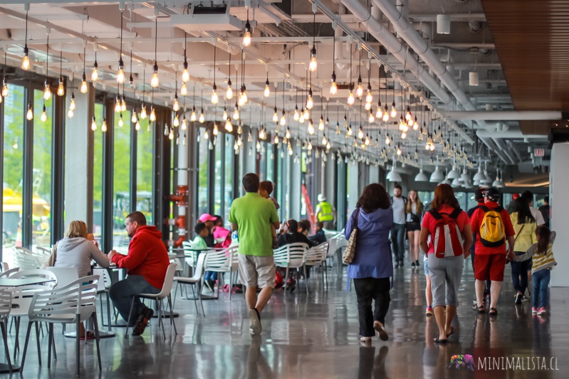 nike chicago 2015